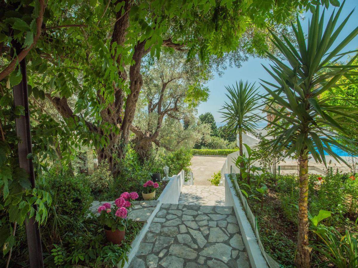 Vila The Turtles Garden Bečići Exteriér fotografie