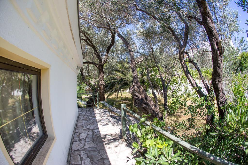 Vila The Turtles Garden Bečići Exteriér fotografie
