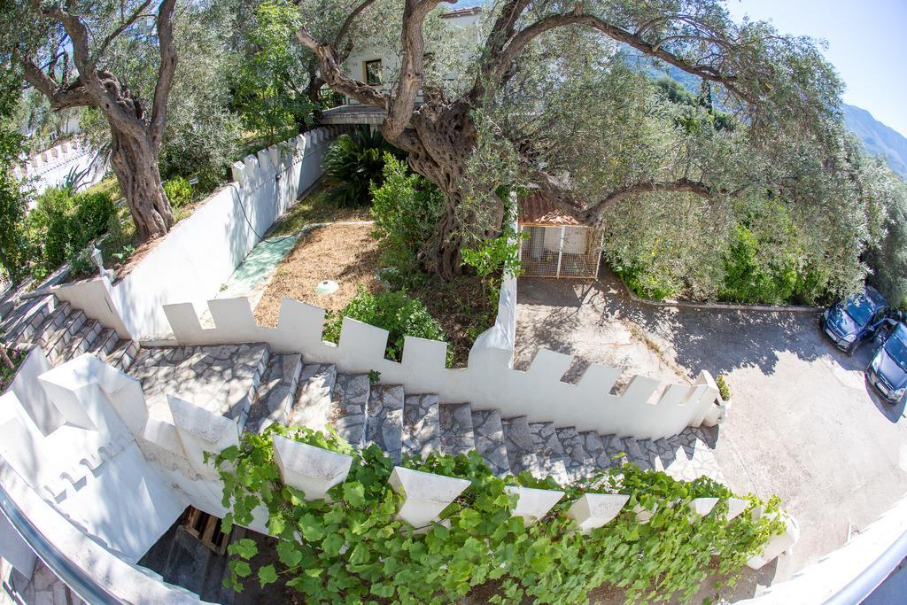 Vila The Turtles Garden Bečići Exteriér fotografie